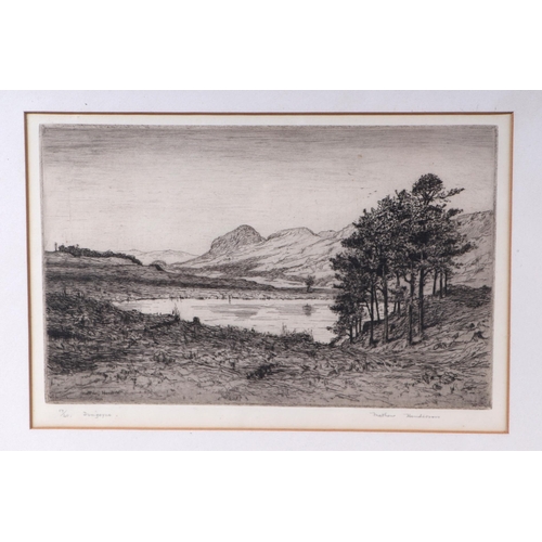 271 - After Matthew Henderson (modern British) - Dungoyne - limited edition etching, numbered 17/40, signe... 