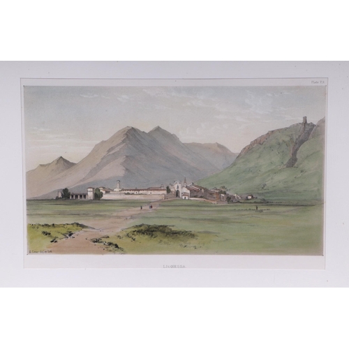 310 - After Edward Lear - Lionessa - coloured lithograph, framed and glazed, 30cm by 19cm.