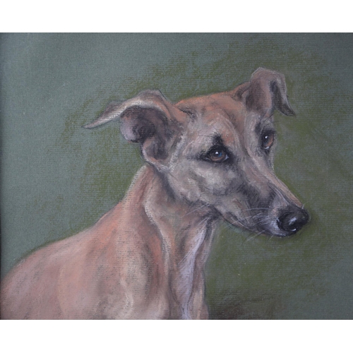 314 - Marjorie Cox (1915-2003) - Rosie, Study of a Whippet - pastel, signed dated 1999, framed and glazed,... 