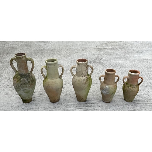 37 - A group of two-handled amphora terracotta olive jars, the largest 51cms high (5).