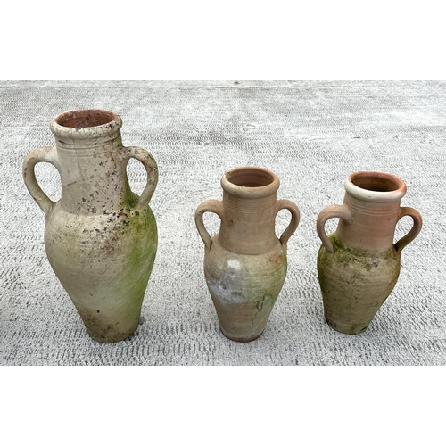 37 - A group of two-handled amphora terracotta olive jars, the largest 51cms high (5).