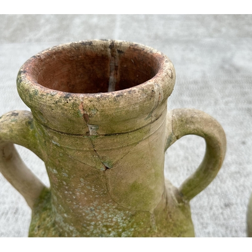 37 - A group of two-handled amphora terracotta olive jars, the largest 51cms high (5).