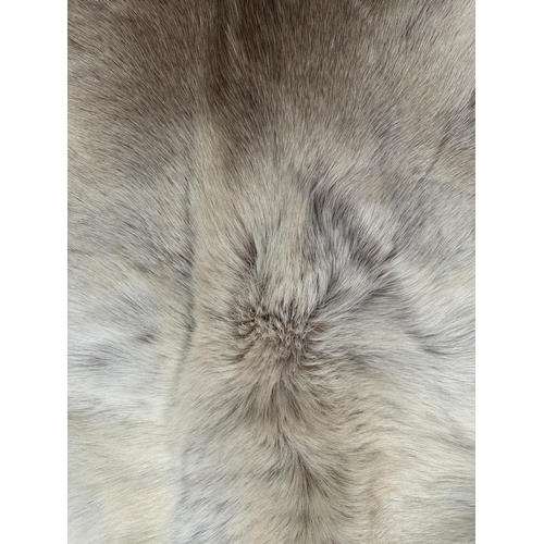 423 - Taxidermy. A reindeer hide floor rug.