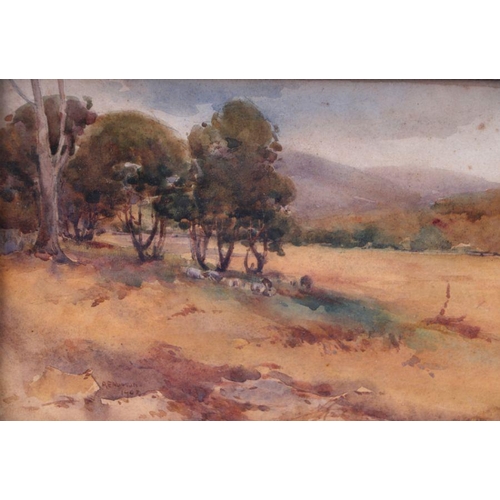 172 - 20th century British school - Heathland Landscape with Trees in the Distance - watercolour, indistin... 