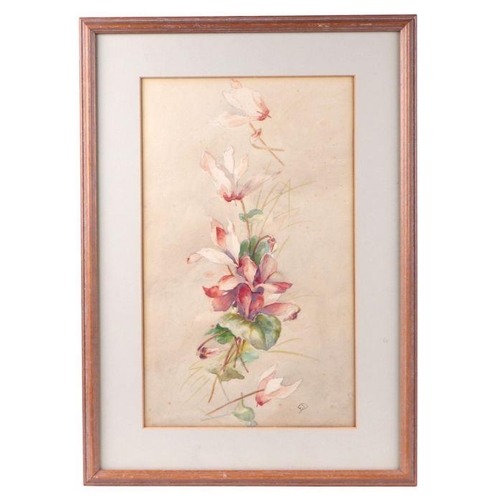 177 - 20th century modern British - Still Life of a Spray of Flowers - watercolour, initialled 'ED' lower ... 