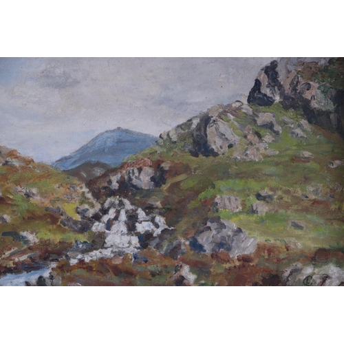 189 - D L Chalk (mid 20th century school) - Rocky Mountain Scene - monogrammed lower right, oil on board, ... 