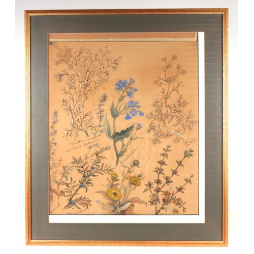 202 - Late 19th century school - The Sweets of the Year - study of flowers, watercolour, framed & glazed, ... 