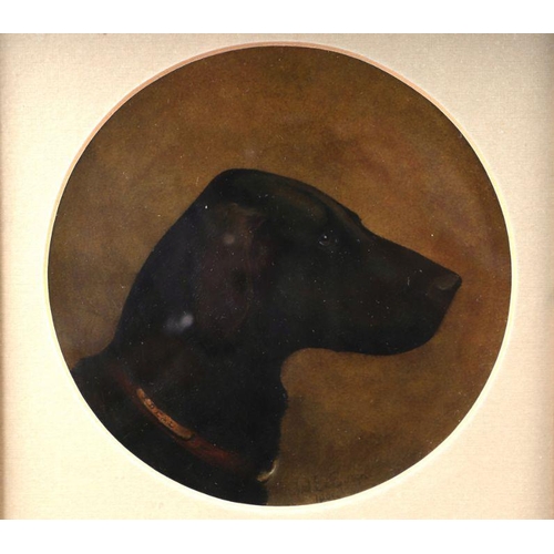 218 - W E Eaton (early 20th century school) - Portrait of a Black Retriever, signed & dated 1901, oil on b... 