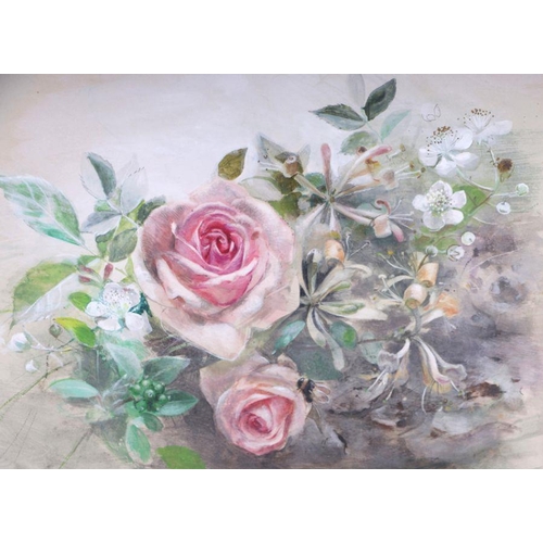 223 - Hilda Chancellor Pope (mid 20th century school) - Rose with Bee - watercolour, framed & glazed, 31 b... 