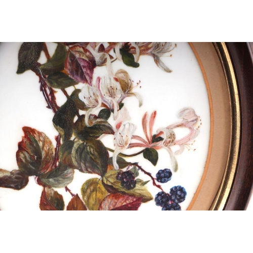 225 - An oval porcelain plaque decorated with honeysuckle and brambles, framed & glazed, 19 by 24cms.