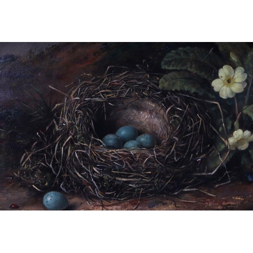 226 - Fanny W Goodwin (19th century school) - Still Life of a Bird's Nest with Blue Eggs and Primroses - s... 