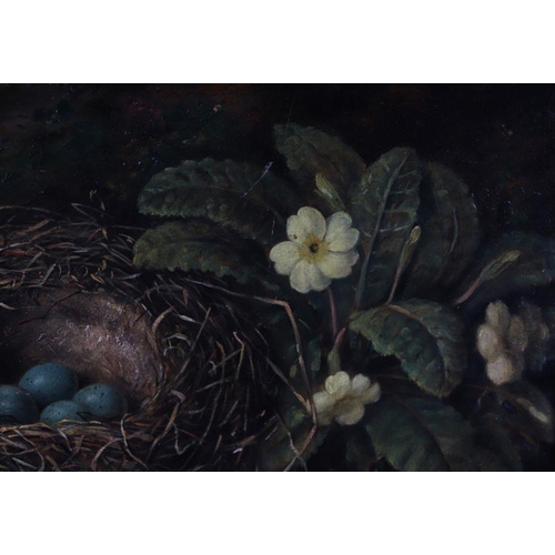 226 - Fanny W Goodwin (19th century school) - Still Life of a Bird's Nest with Blue Eggs and Primroses - s... 