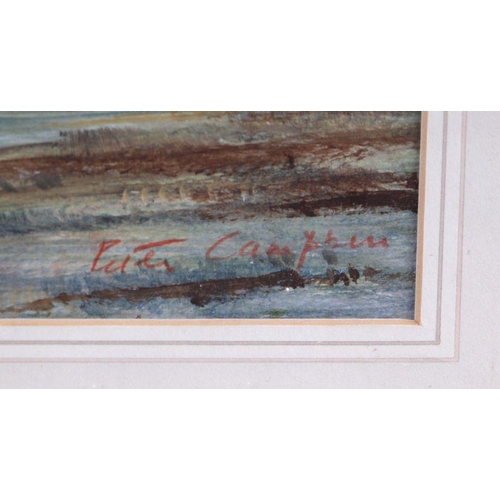 234 - Peter Campbell (modern British) - Boat Rest - watercolour, signed lower right, 29 by 23cms, framed &... 