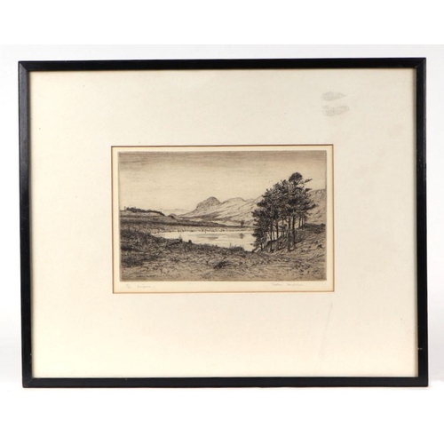 242 - After Matthew Henderson (modern British) - Dungoyne - limited edition etching, numbered 17/40, signe... 