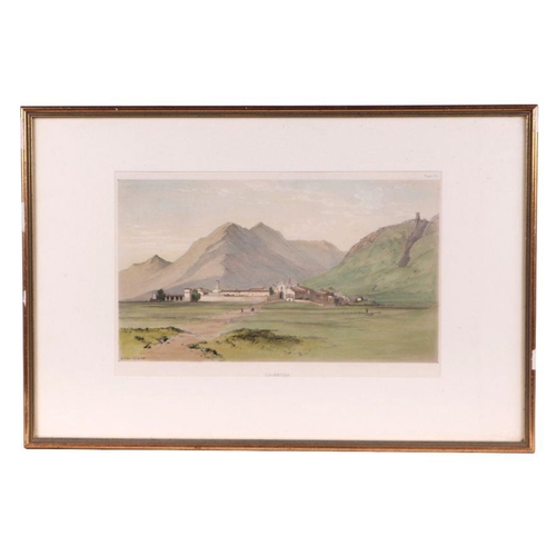 247 - After Edward Lear - Lionessa - coloured lithograph, framed and glazed, 30cm by 19cm.