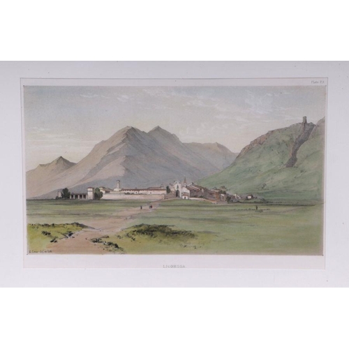 247 - After Edward Lear - Lionessa - coloured lithograph, framed and glazed, 30cm by 19cm.