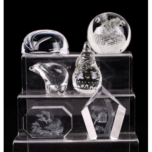 252 - A collection of glass paperweights to include Selkirk and Caithness.