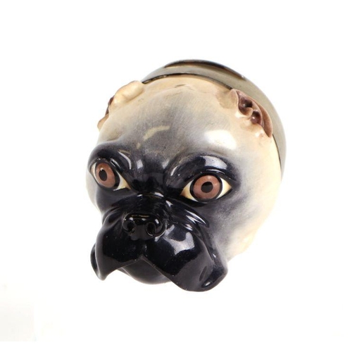 281 - A 19th century box and cover naturalistically modelled and painted in the form of a pug dog's head w... 