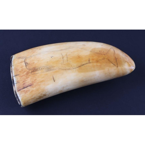 389 - A 19th century whale tooth scrimshaw, one side carved with a ship in full sail, the reverse with a d... 