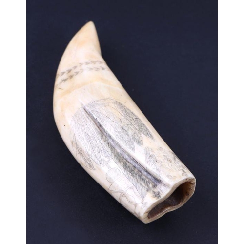 390 - A 19th century sperm whale tooth scrimshaw depicting a figure of Britannia, the Rock of Gibraltar fl... 