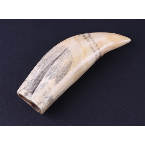 390 - A 19th century sperm whale tooth scrimshaw depicting a figure of Britannia, the Rock of Gibraltar fl... 