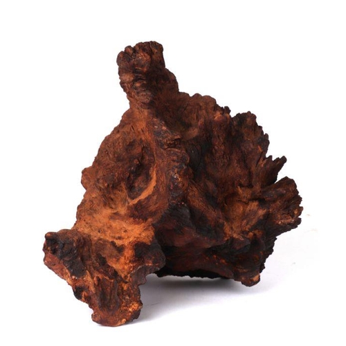 403 - A large piece of natural bogwood. 34 by 34cm