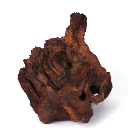 403 - A large piece of natural bogwood. 34 by 34cm