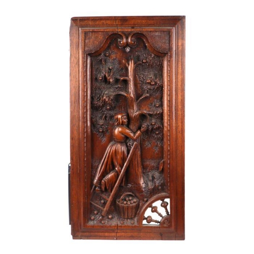 424 - A continental carved oak panel depicting an apple picker, with paper label to verso stating the pane... 