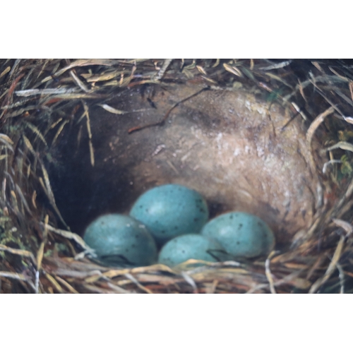 226 - Fanny W Goodwin (19th century school) - Still Life of a Bird's Nest with Blue Eggs and Primroses - s... 