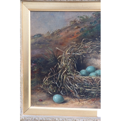 226 - Fanny W Goodwin (19th century school) - Still Life of a Bird's Nest with Blue Eggs and Primroses - s... 