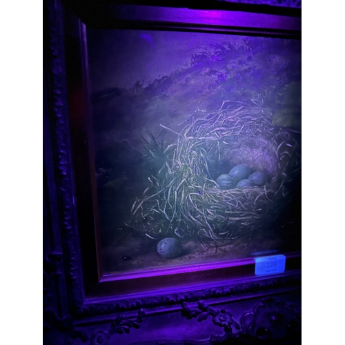 226 - Fanny W Goodwin (19th century school) - Still Life of a Bird's Nest with Blue Eggs and Primroses - s... 