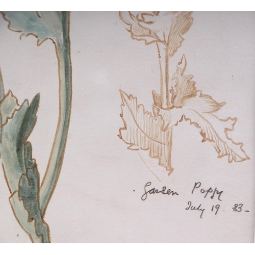 184 - Victorian school - Study of a Garden Poppy - dated July 19, '83, Frost & Reed Gallery label to verso... 