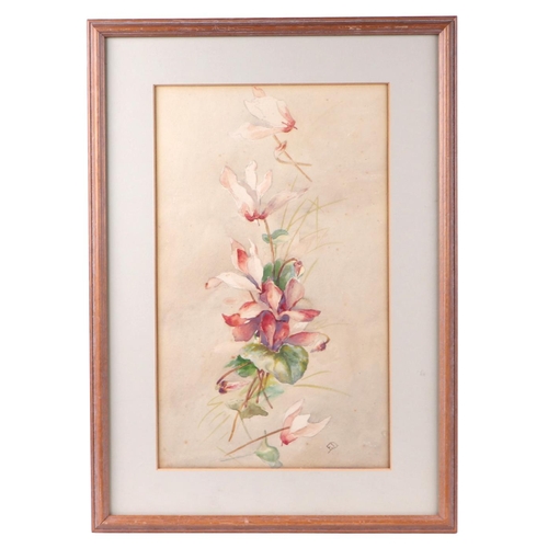209 - 20th century modern British - Still Life of a Spray of Flowers - watercolour, initialled 'ED' lower ... 