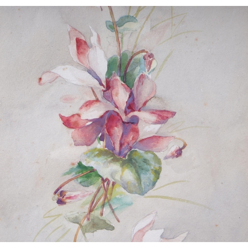 209 - 20th century modern British - Still Life of a Spray of Flowers - watercolour, initialled 'ED' lower ... 