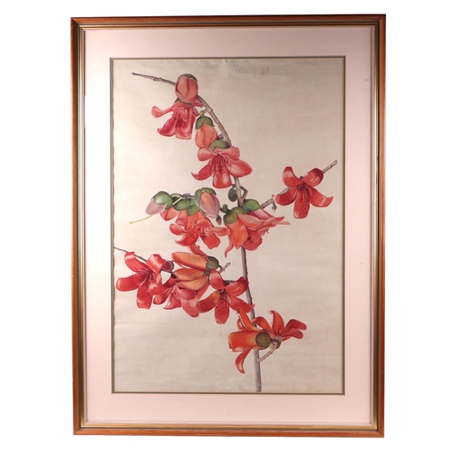 211 - Early 20th century British school - Study of Flowers - watercolour, framed & glazed, 52 by 49cms.