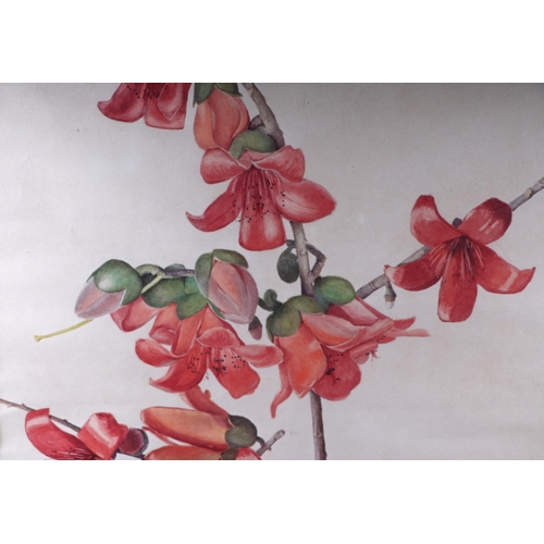211 - Early 20th century British school - Study of Flowers - watercolour, framed & glazed, 52 by 49cms.