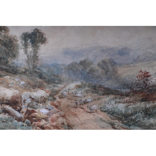 212 - Victorian school - Rural Landscape with Flock of Sheep on a Lane - watercolour heightened with bodyc... 