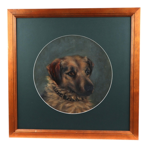 196 - A circular portrait depicting a dog, oil on board, 30cms diameter.