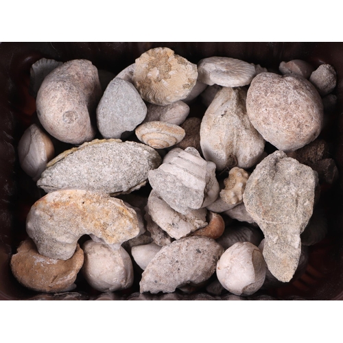 56 - A quantity of seashells, fossils and crystal geodes.