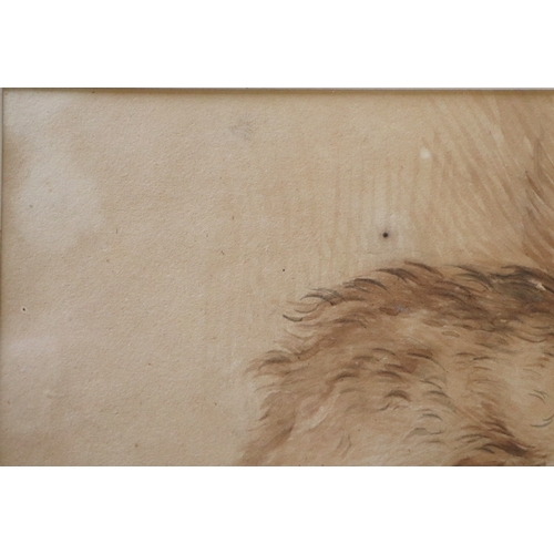 193 - Manner of an Old Master - Study of a Boar - sepia watercolour, framed & glazed, 23 by 17cms.