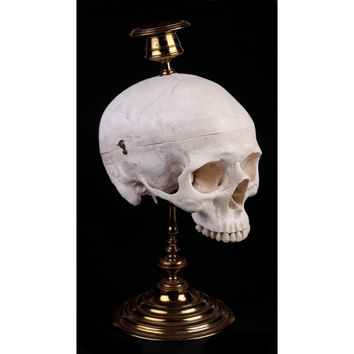 1043 - A Momento Mori skull from brass candle stick, 32cm high