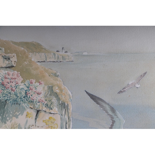 1503 - John Tennant (modern British) - Fulmars at Blackers Hole - watercolour, signed lower left, 36 by 52c... 