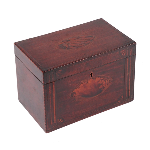 1579 - A Georgian mahogany tea caddy inlaid with conus patae to the lid and the front, 21cms wide.