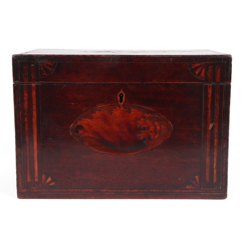 1579 - A Georgian mahogany tea caddy inlaid with conus patae to the lid and the front, 21cms wide.