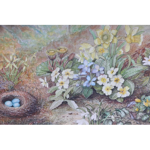 190 - C C Johnson (Victorian school) - Woodland Glade Scene with Primroses and a Bird's Nest in the Foregr... 