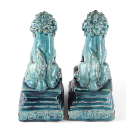 1979 - A pair of Chinese turquoise glazed temple lions on plinths, 18cms high (2).