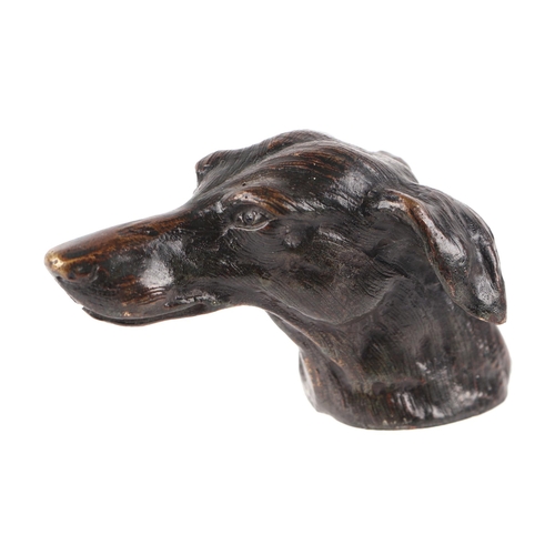 227 - A bronze study of a dogs head, 10cms long.