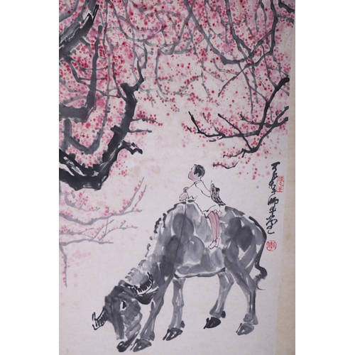 657 - A Chinese watercolour scroll painting depicting a child riding an ox within a cherry blossom wood, s... 