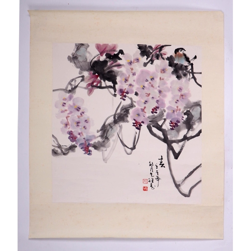 661 - A Chinese watercolour scroll painting depicting a bird amongst flowering cherry blossom, 54 by 54cms... 