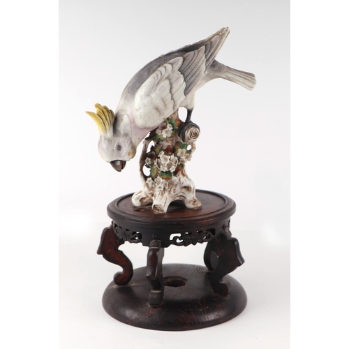 781 - A Continental figure of a cockatoo perched on a flower encrusted tree stump, 20cm high, mounted on a... 